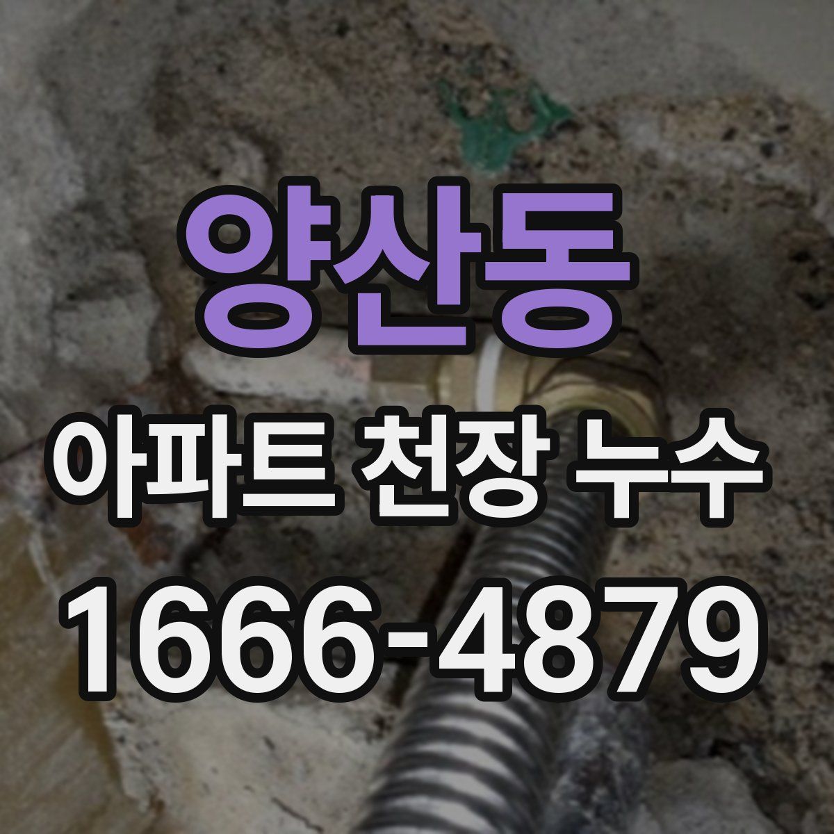 양산동 아파트 천장 누수