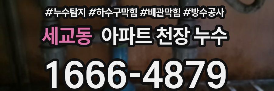 세교동 아파트 천장 누수