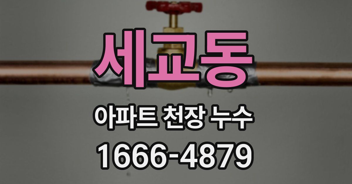 세교동 아파트 천장 누수
