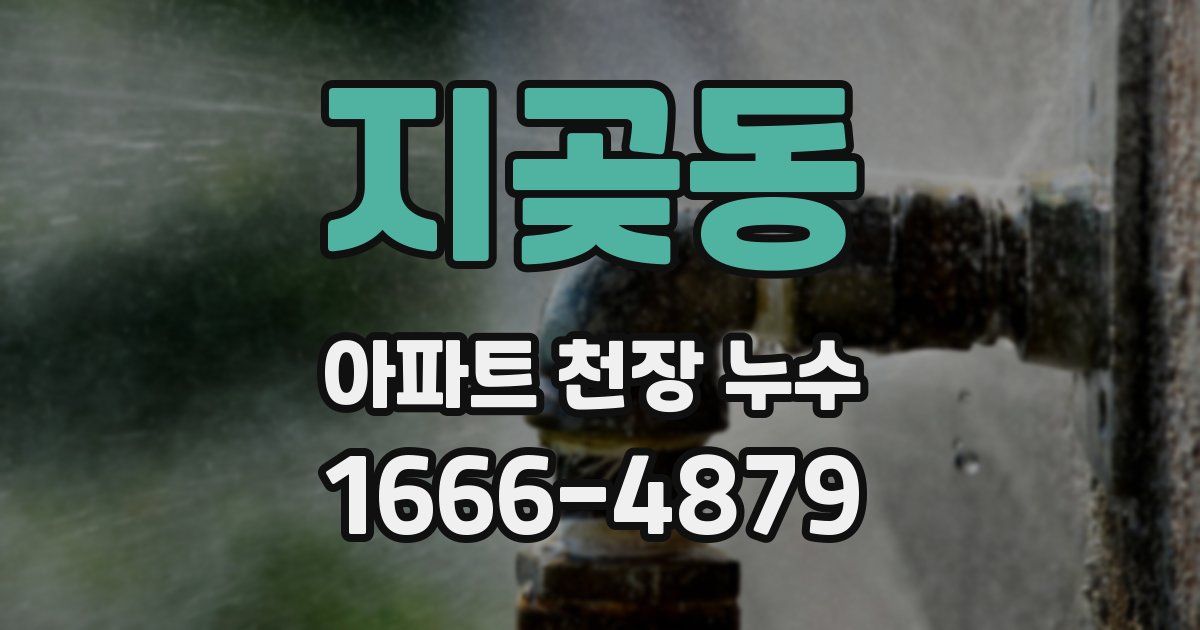 지곶동 아파트 천장 누수