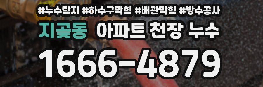 지곶동 아파트 천장 누수