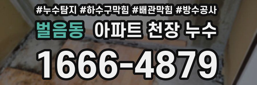 벌음동 아파트 천장 누수