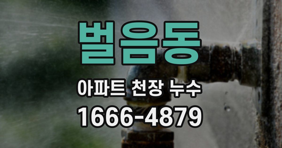 벌음동 아파트 천장 누수