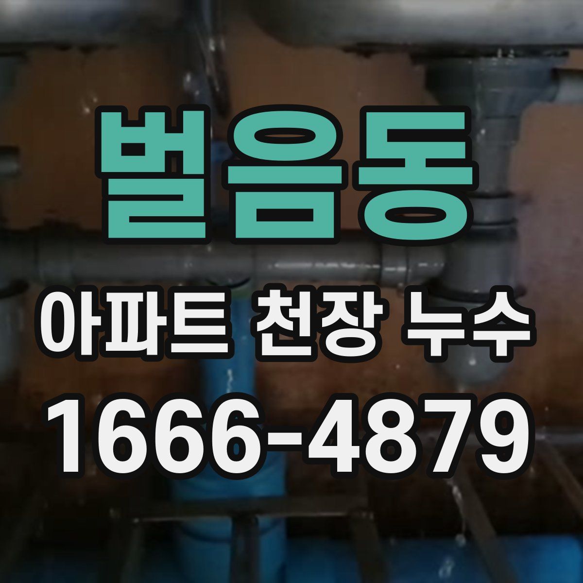 벌음동 아파트 천장 누수