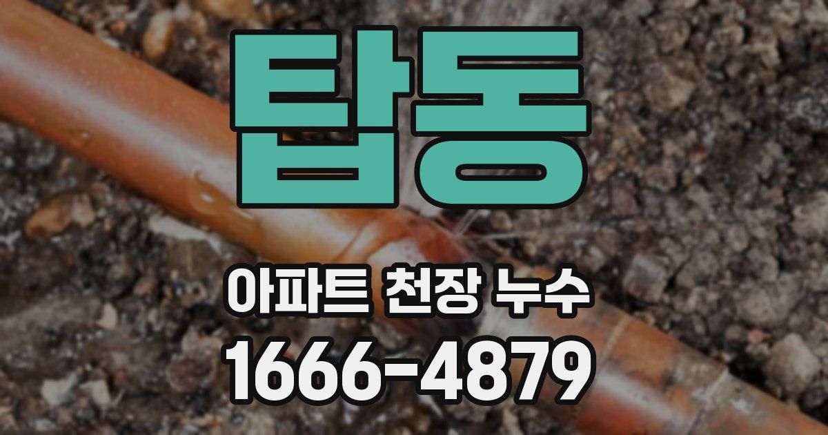 탑동 아파트 천장 누수