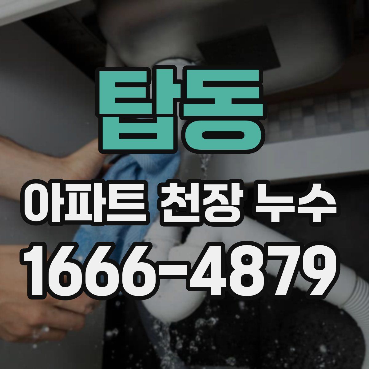탑동 아파트 천장 누수