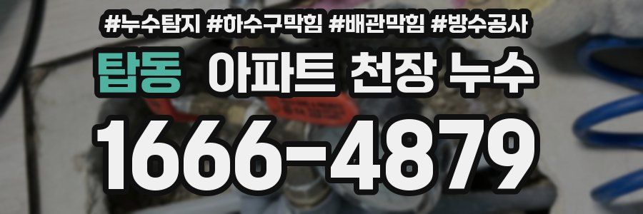 탑동 아파트 천장 누수