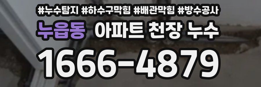 누읍동 아파트 천장 누수