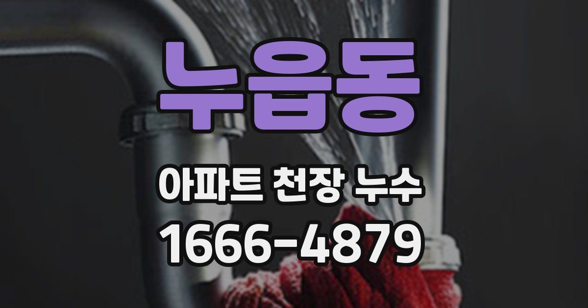 누읍동 아파트 천장 누수