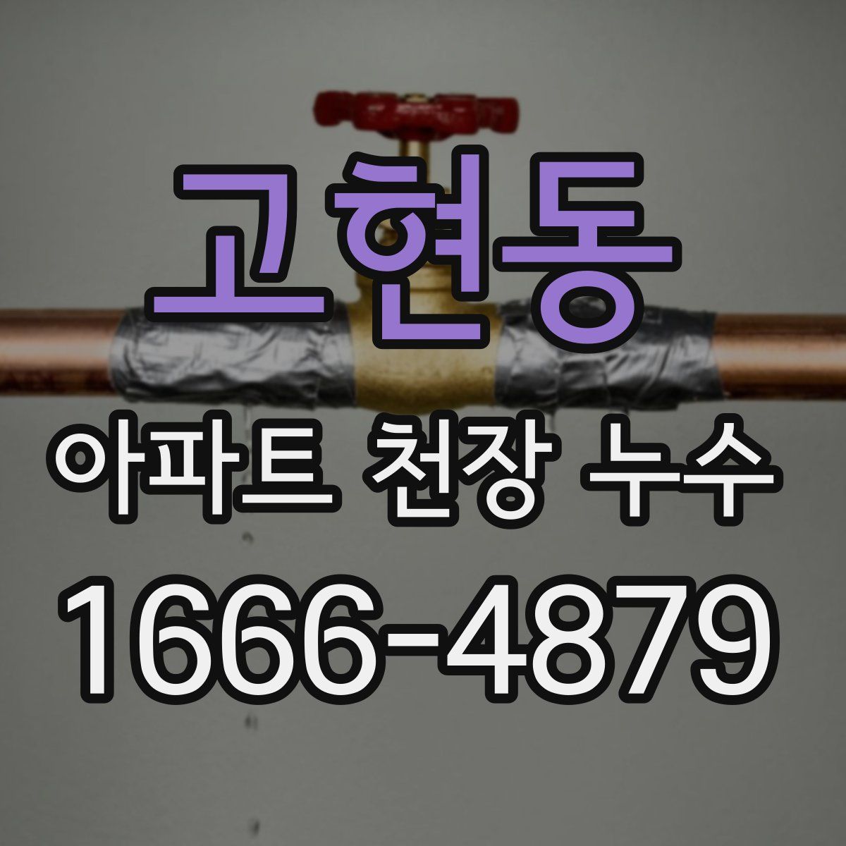 고현동 아파트 천장 누수