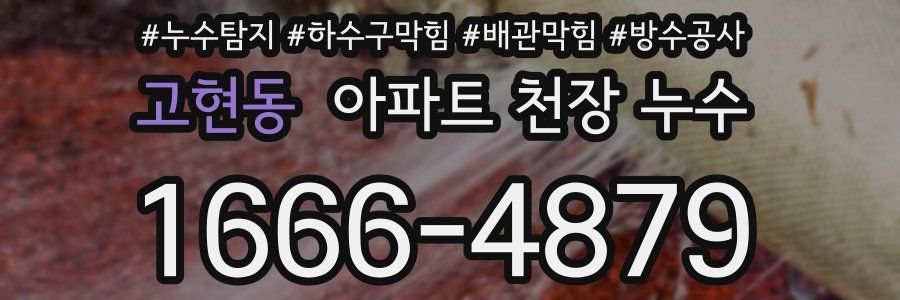 고현동 아파트 천장 누수