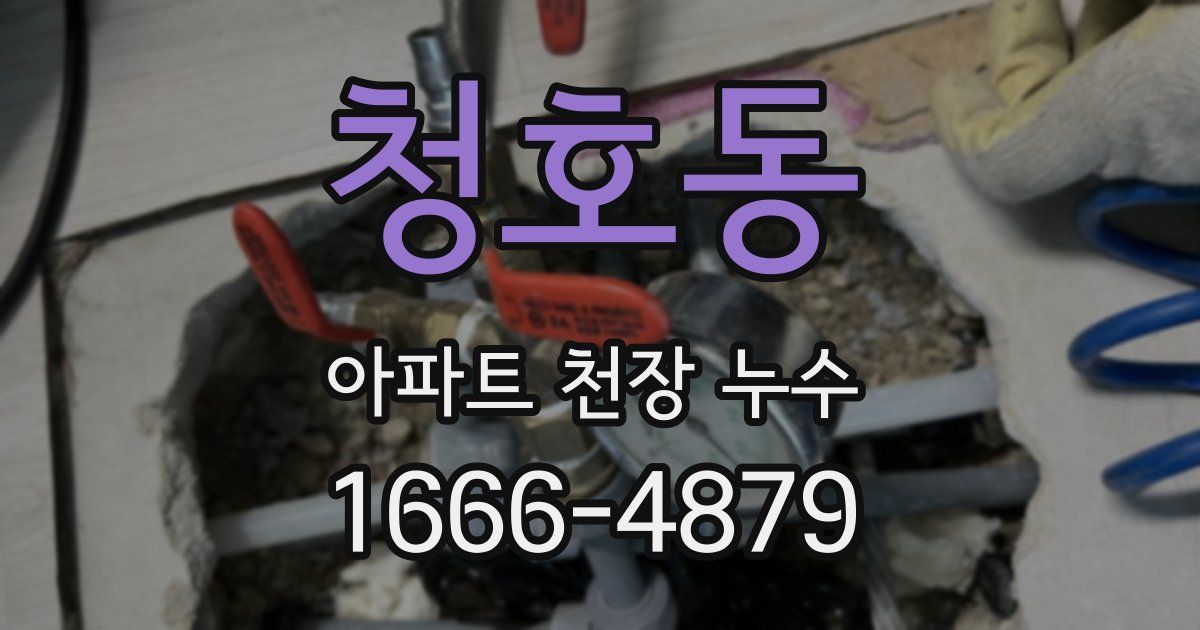 청호동 아파트 천장 누수