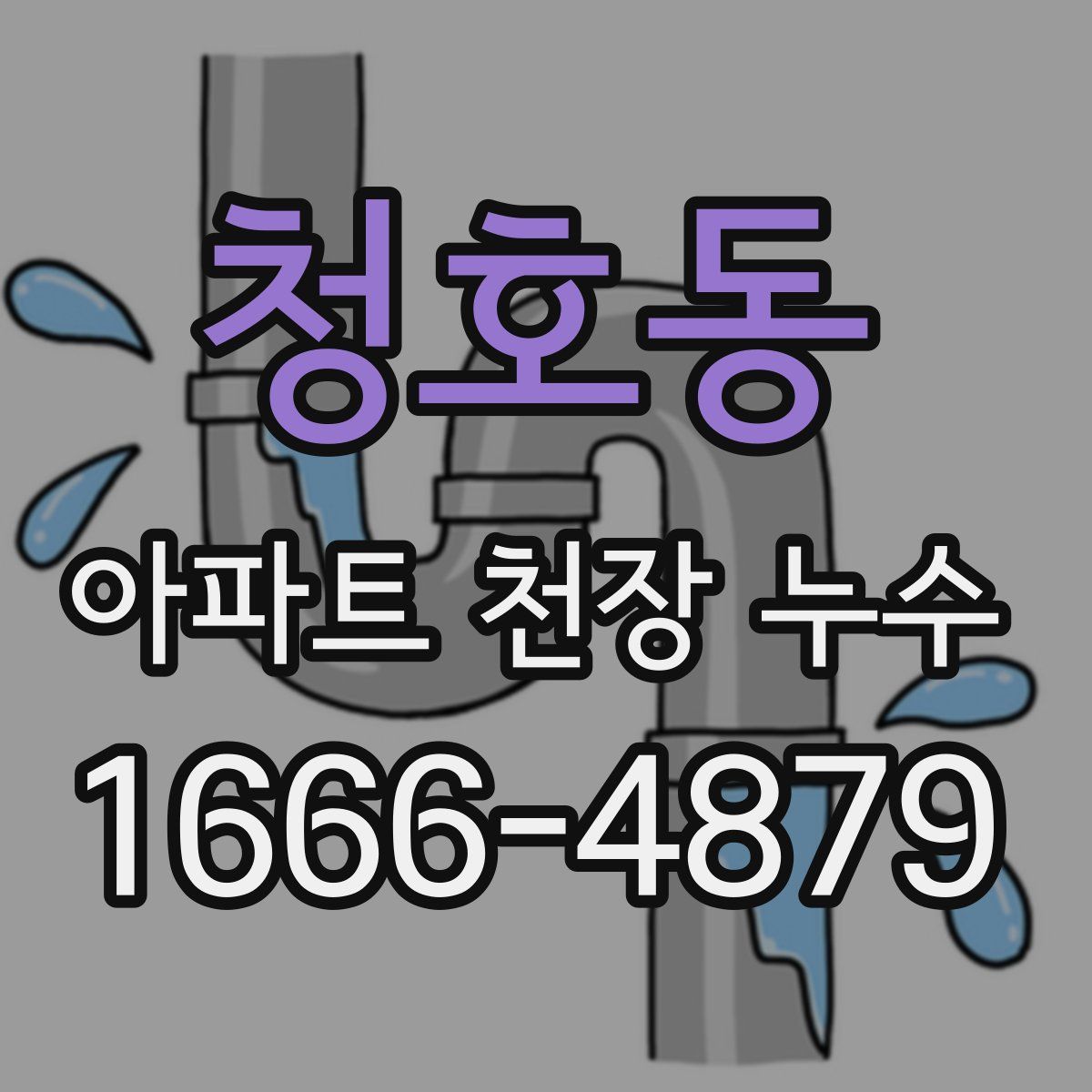 청호동 아파트 천장 누수