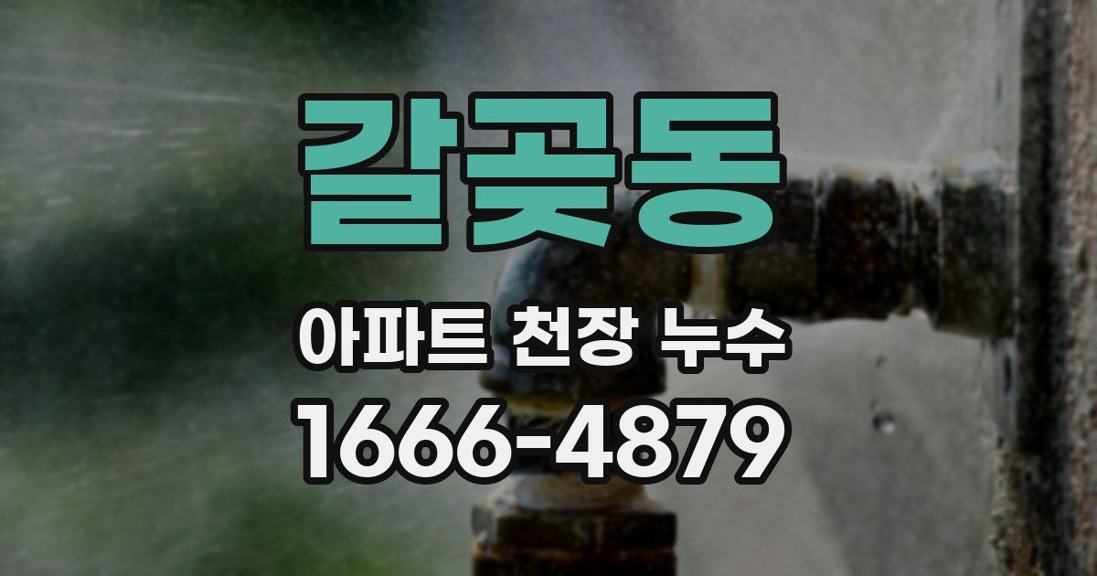 갈곶동 아파트 천장 누수