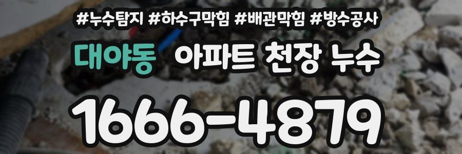 대야동 아파트 천장 누수