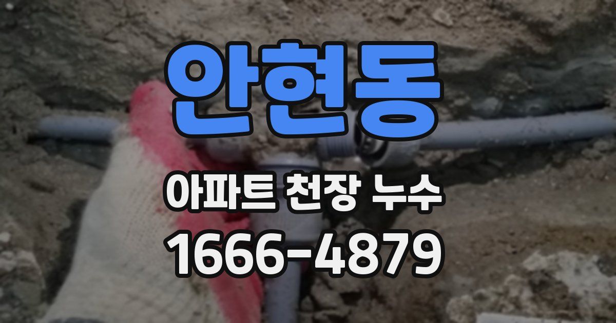 안현동 아파트 천장 누수