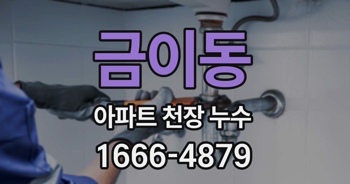금이동 아파트 천장 누수