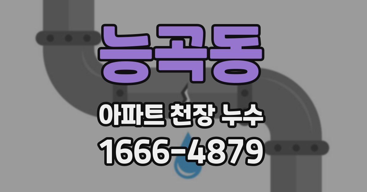능곡동 아파트 천장 누수