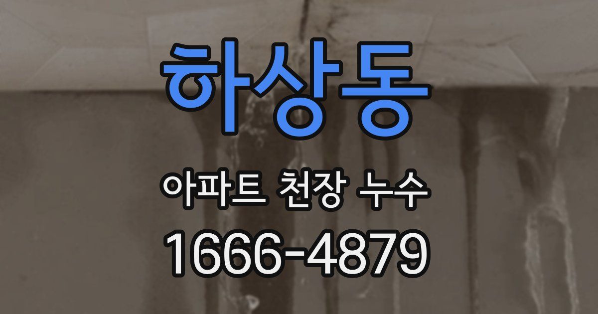 하상동 아파트 천장 누수