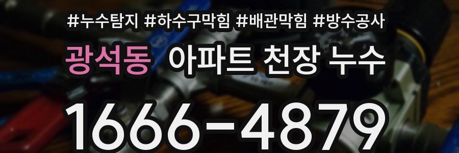 광석동 아파트 천장 누수