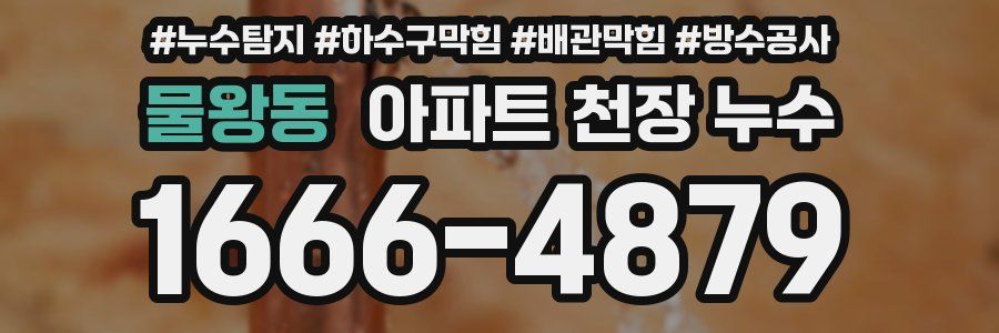 물왕동 아파트 천장 누수