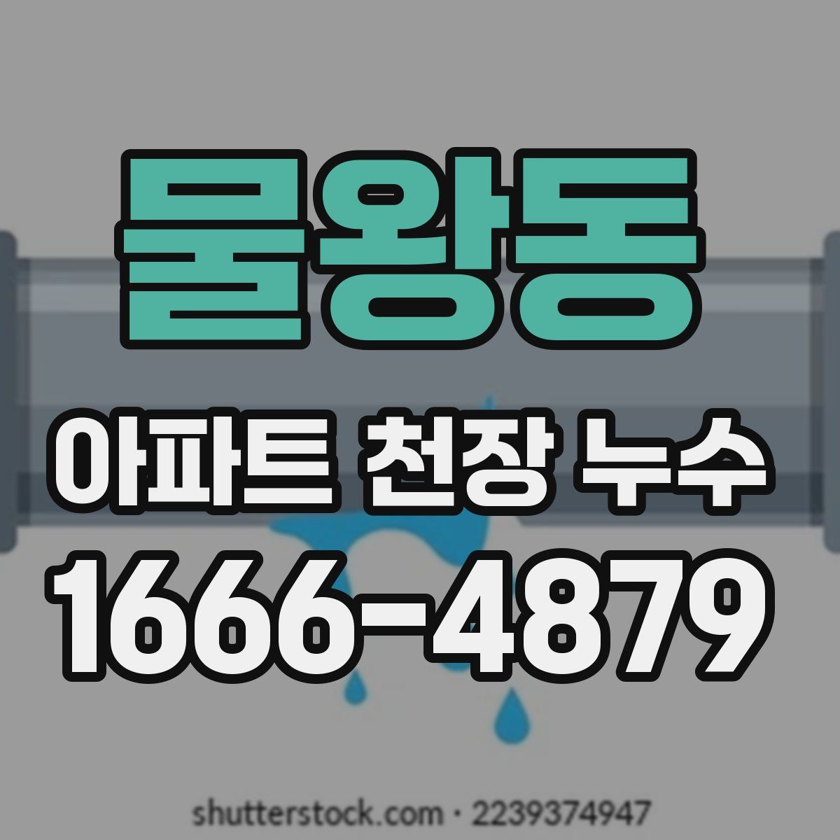 물왕동 아파트 천장 누수