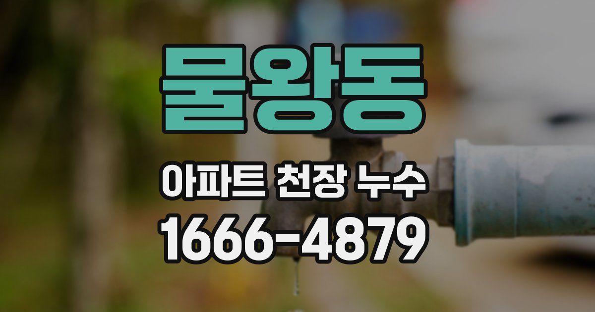 물왕동 아파트 천장 누수