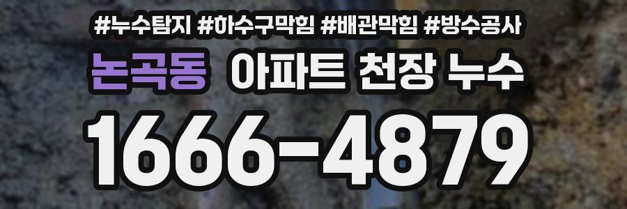 논곡동 아파트 천장 누수