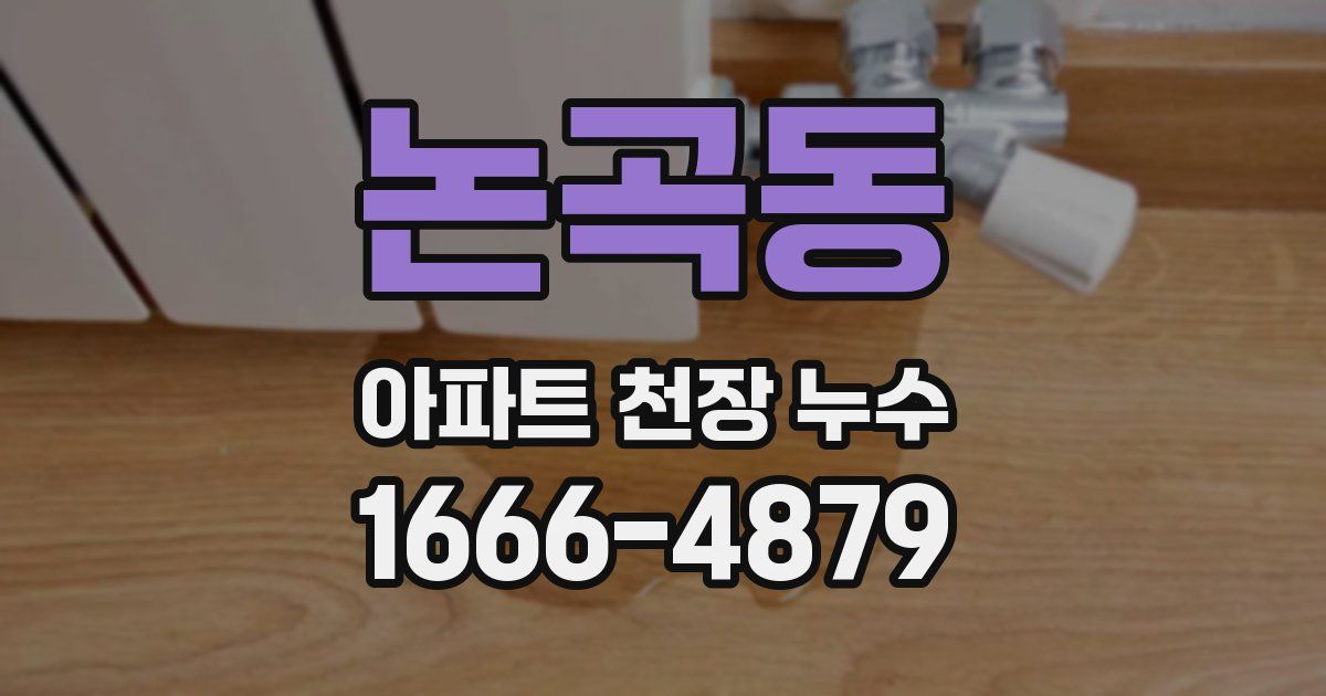 논곡동 아파트 천장 누수