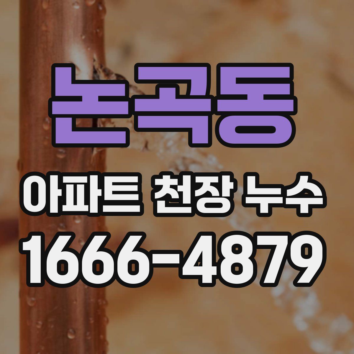 논곡동 아파트 천장 누수