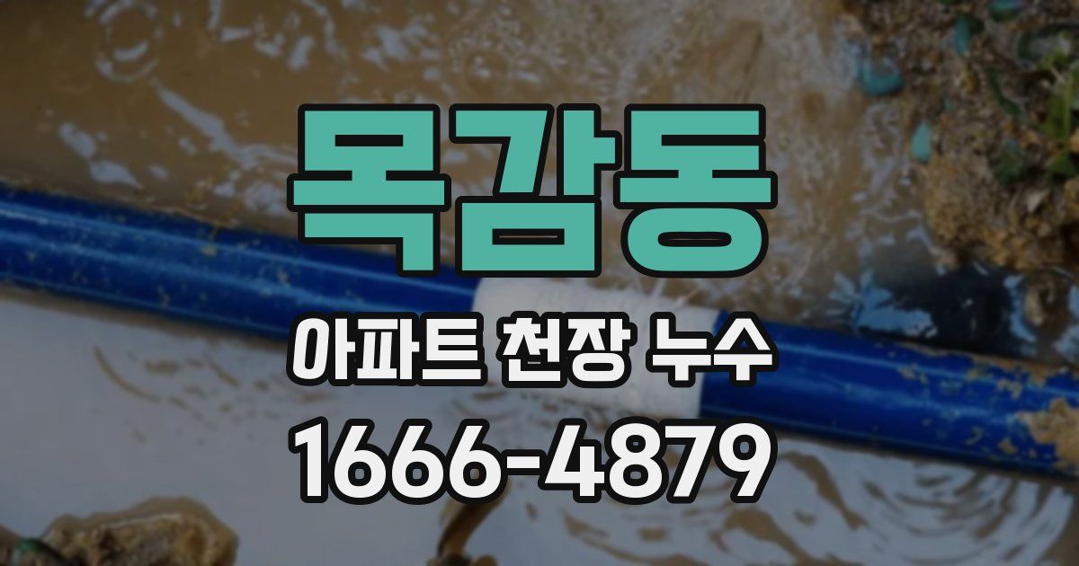 목감동 아파트 천장 누수
