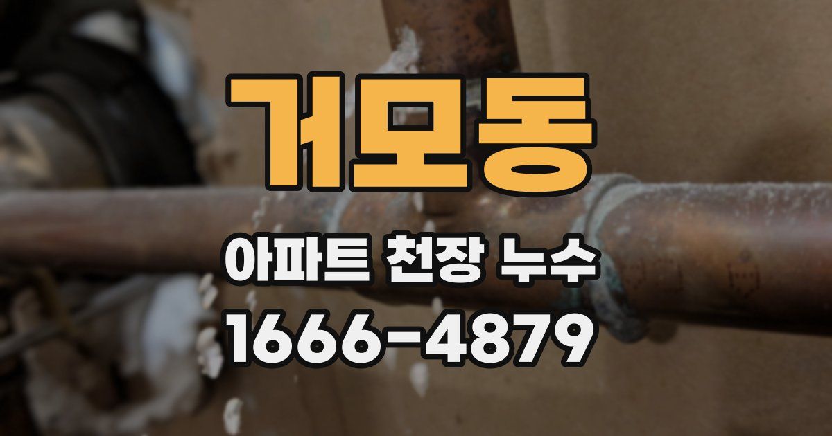거모동 아파트 천장 누수
