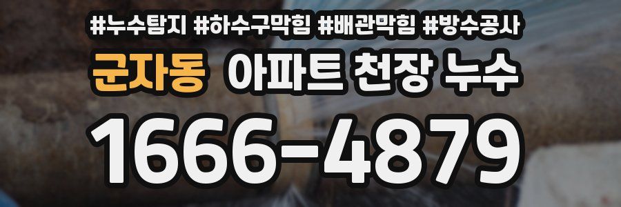 군자동 아파트 천장 누수