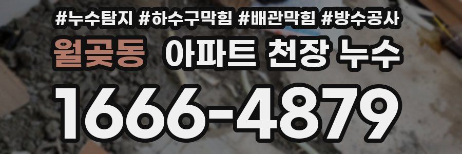 월곶동 아파트 천장 누수