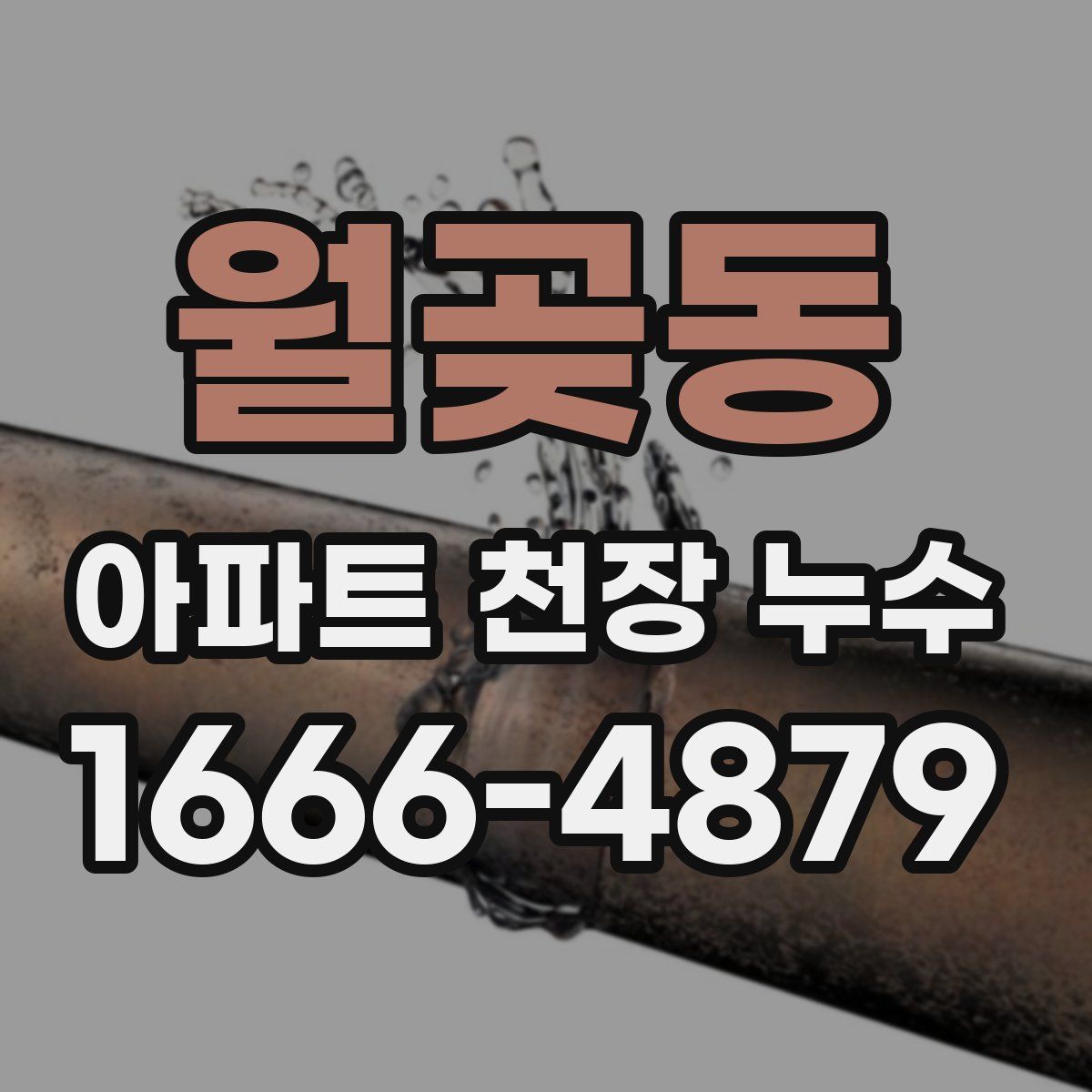 월곶동 아파트 천장 누수