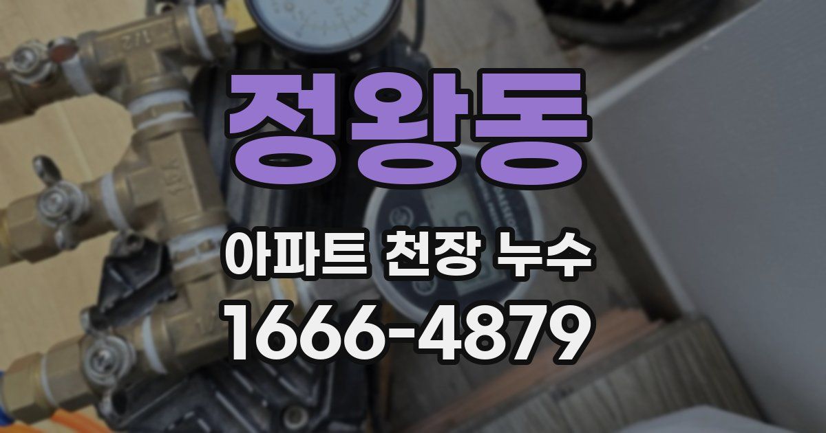 정왕동 아파트 천장 누수