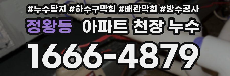 정왕동 아파트 천장 누수