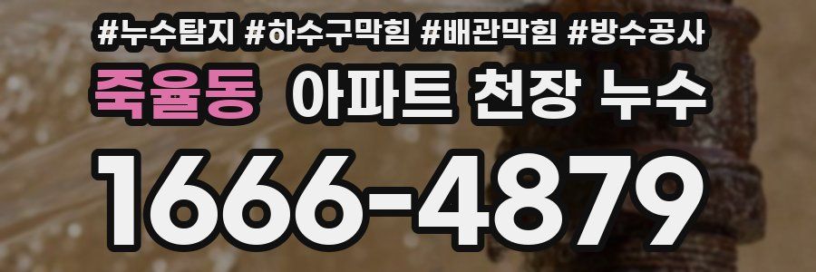 죽율동 아파트 천장 누수