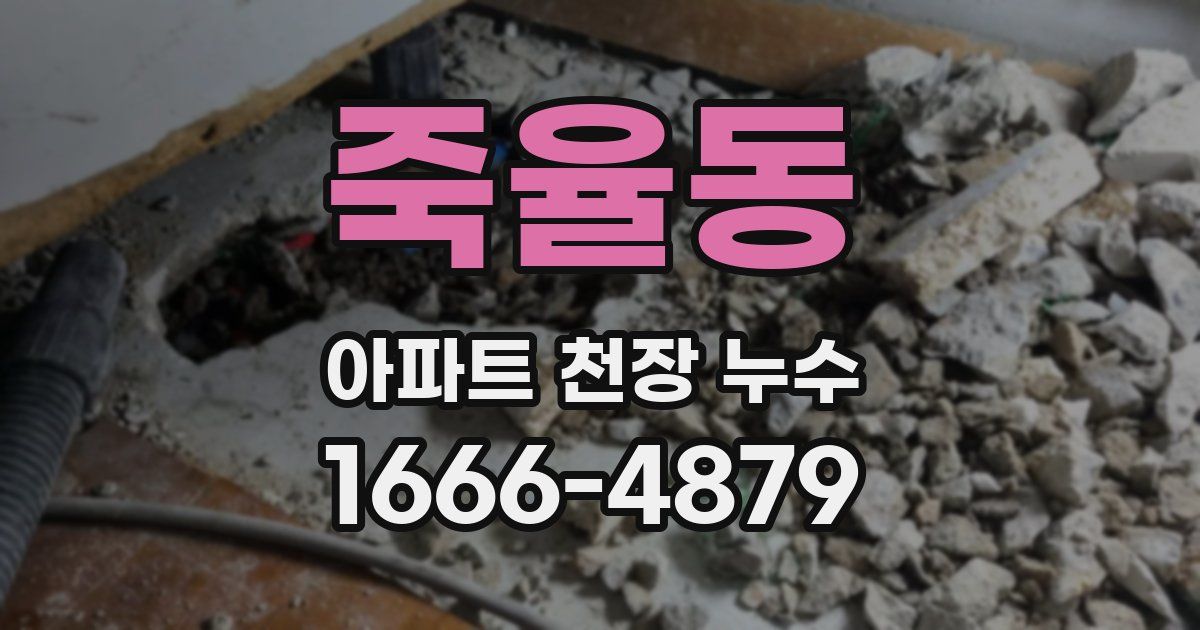 죽율동 아파트 천장 누수