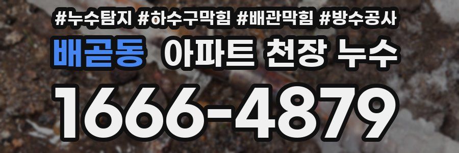 배곧동 아파트 천장 누수