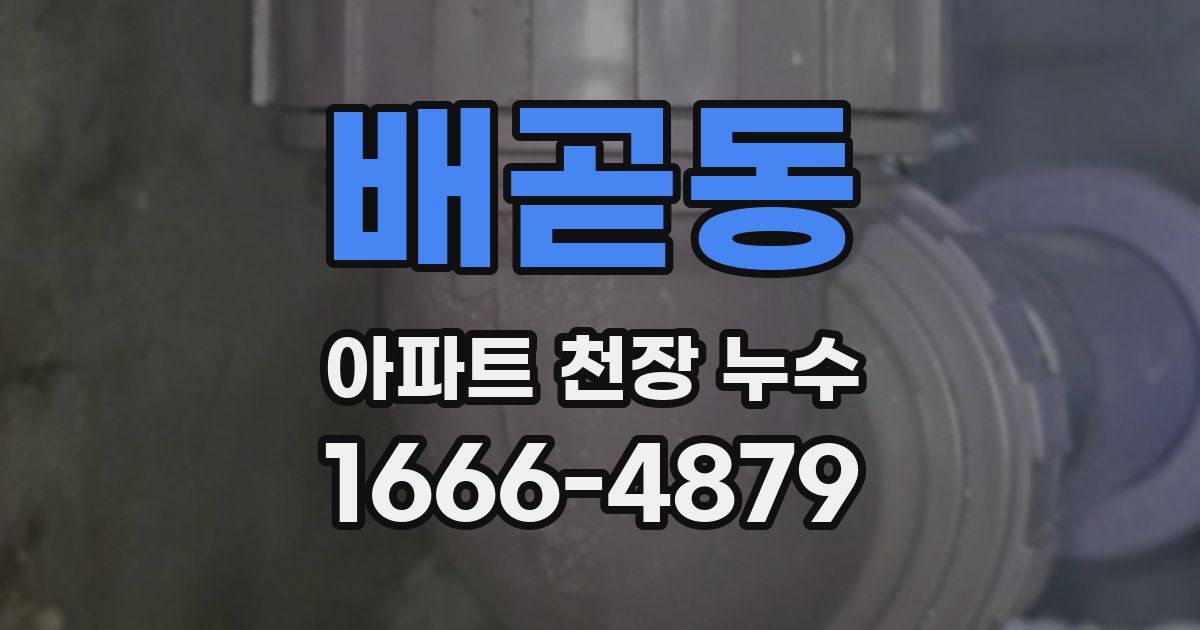 배곧동 아파트 천장 누수