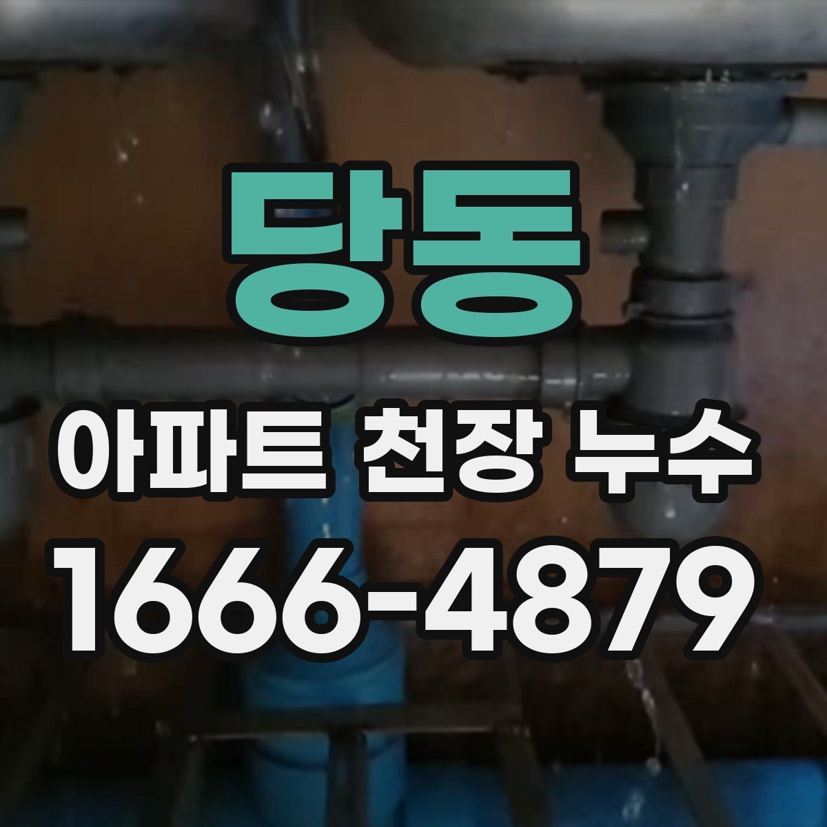 당동 아파트 천장 누수