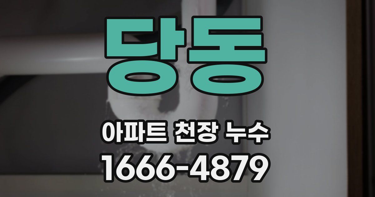 당동 아파트 천장 누수