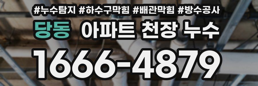 당동 아파트 천장 누수