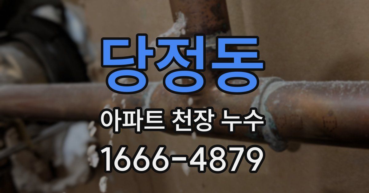 당정동 아파트 천장 누수