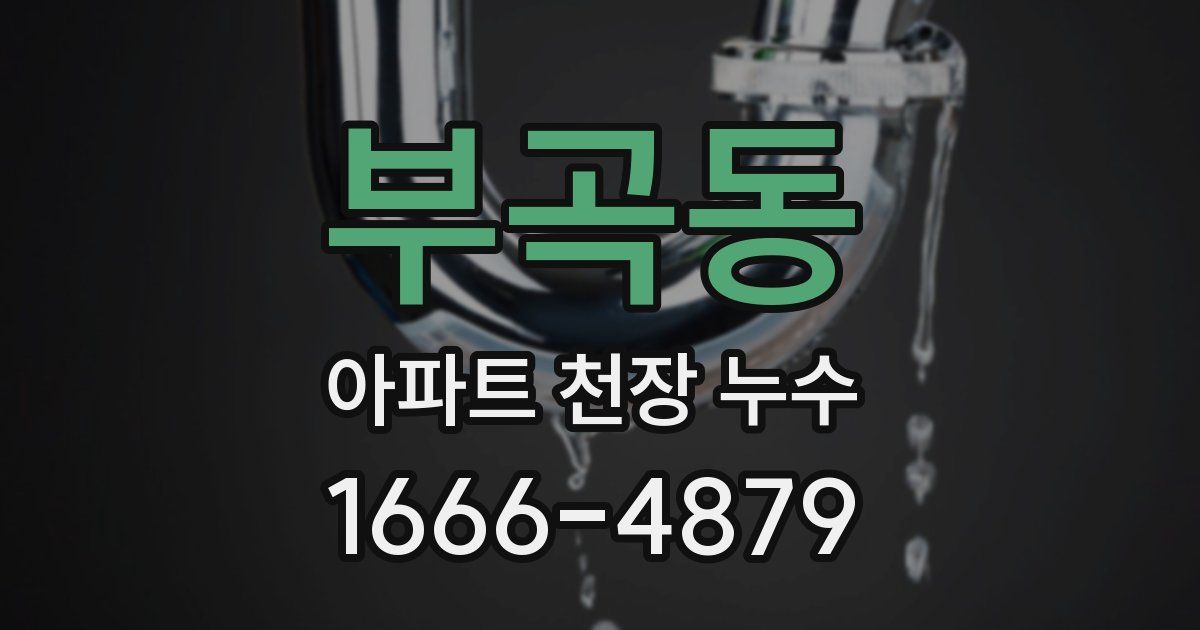 부곡동 아파트 천장 누수