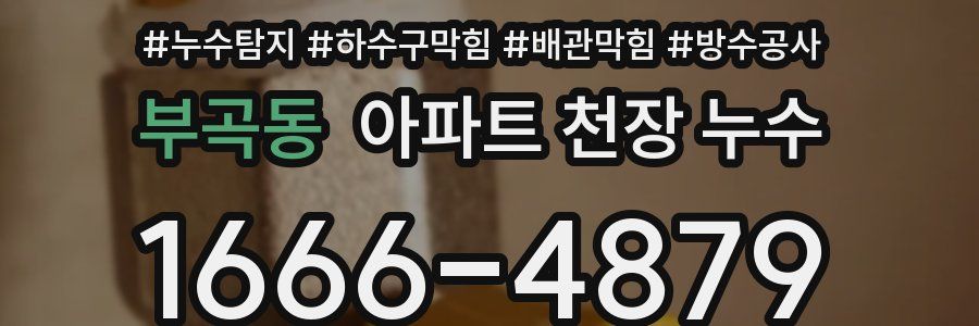 부곡동 아파트 천장 누수