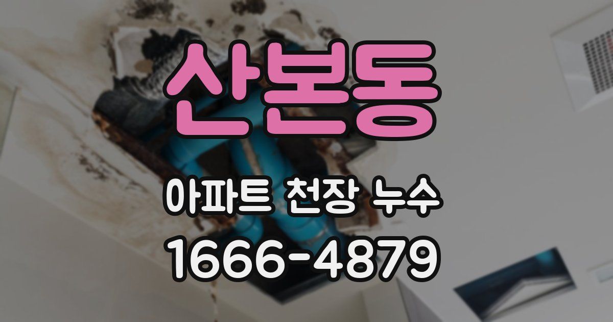 산본동 아파트 천장 누수