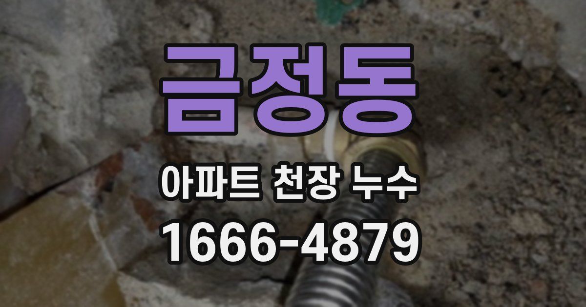 금정동 아파트 천장 누수