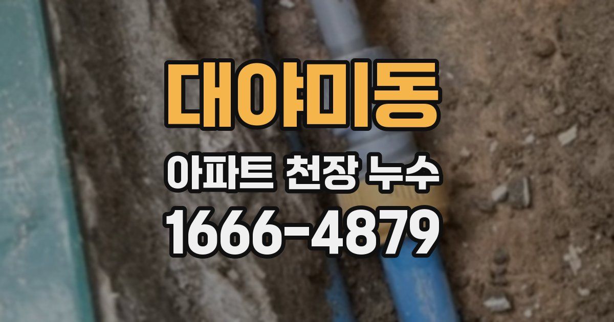 대야미동 아파트 천장 누수